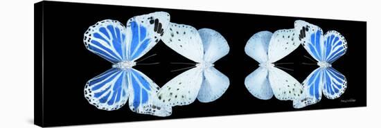 Miss Butterfly Duo Salateuploea Pan - X-Ray Black Edition II-Philippe Hugonnard-Stretched Canvas