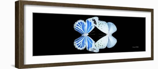 Miss Butterfly Duo Salateuploea Pan - X-Ray Black Edition-Philippe Hugonnard-Framed Photographic Print