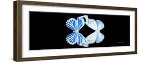 Miss Butterfly Duo Salateuploea Pan - X-Ray Black Edition-Philippe Hugonnard-Framed Photographic Print