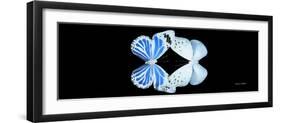 Miss Butterfly Duo Salateuploea Pan - X-Ray Black Edition-Philippe Hugonnard-Framed Photographic Print