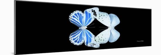 Miss Butterfly Duo Salateuploea Pan - X-Ray Black Edition-Philippe Hugonnard-Mounted Photographic Print