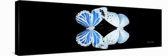 Miss Butterfly Duo Salateuploea Pan - X-Ray Black Edition-Philippe Hugonnard-Stretched Canvas