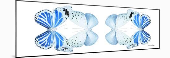 Miss Butterfly Duo Salateuploea Pan - X-Ray White Edition II-Philippe Hugonnard-Mounted Photographic Print