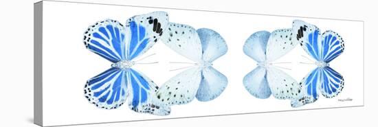 Miss Butterfly Duo Salateuploea Pan - X-Ray White Edition II-Philippe Hugonnard-Stretched Canvas