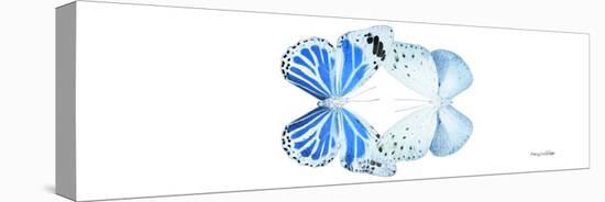 Miss Butterfly Duo Salateuploea Pan - X-Ray White Edition-Philippe Hugonnard-Stretched Canvas