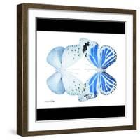 Miss Butterfly Duo Salateuploea Sq - X-Ray B&W Edition-Philippe Hugonnard-Framed Photographic Print