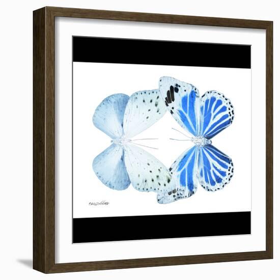 Miss Butterfly Duo Salateuploea Sq - X-Ray B&W Edition-Philippe Hugonnard-Framed Photographic Print