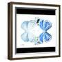 Miss Butterfly Duo Salateuploea Sq - X-Ray B&W Edition-Philippe Hugonnard-Framed Photographic Print