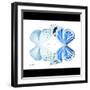 Miss Butterfly Duo Salateuploea Sq - X-Ray B&W Edition-Philippe Hugonnard-Framed Photographic Print