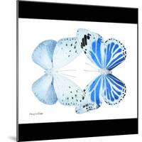 Miss Butterfly Duo Salateuploea Sq - X-Ray B&W Edition-Philippe Hugonnard-Mounted Photographic Print