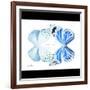 Miss Butterfly Duo Salateuploea Sq - X-Ray B&W Edition-Philippe Hugonnard-Framed Photographic Print