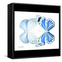 Miss Butterfly Duo Salateuploea Sq - X-Ray B&W Edition-Philippe Hugonnard-Framed Stretched Canvas