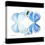 Miss Butterfly Duo Salateuploea Sq - X-Ray B&W Edition-Philippe Hugonnard-Stretched Canvas