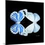 Miss Butterfly Duo Salateuploea Sq - X-Ray Black Edition-Philippe Hugonnard-Mounted Photographic Print