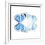 Miss Butterfly Duo Salateuploea Sq - X-Ray White Edition-Philippe Hugonnard-Framed Photographic Print