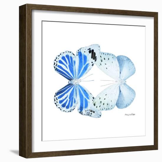 Miss Butterfly Duo Salateuploea Sq - X-Ray White Edition-Philippe Hugonnard-Framed Photographic Print