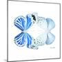 Miss Butterfly Duo Salateuploea Sq - X-Ray White Edition-Philippe Hugonnard-Mounted Photographic Print