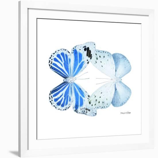 Miss Butterfly Duo Salateuploea Sq - X-Ray White Edition-Philippe Hugonnard-Framed Photographic Print