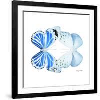 Miss Butterfly Duo Salateuploea Sq - X-Ray White Edition-Philippe Hugonnard-Framed Photographic Print