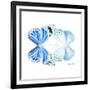 Miss Butterfly Duo Salateuploea Sq - X-Ray White Edition-Philippe Hugonnard-Framed Photographic Print