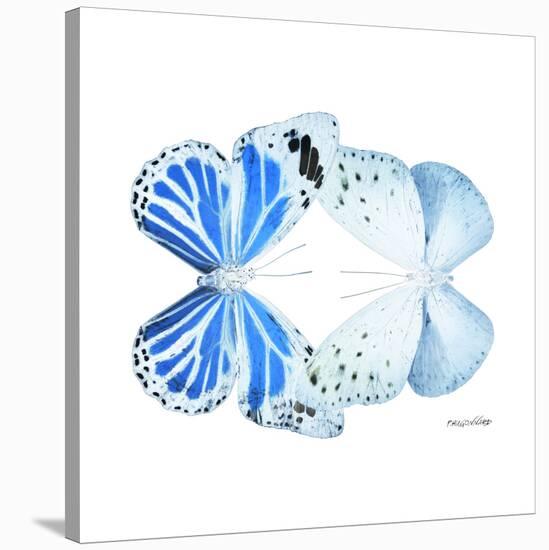 Miss Butterfly Duo Salateuploea Sq - X-Ray White Edition-Philippe Hugonnard-Stretched Canvas