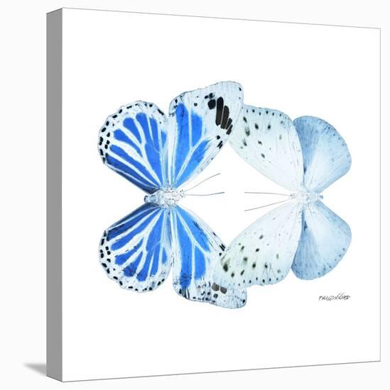 Miss Butterfly Duo Salateuploea Sq - X-Ray White Edition-Philippe Hugonnard-Stretched Canvas