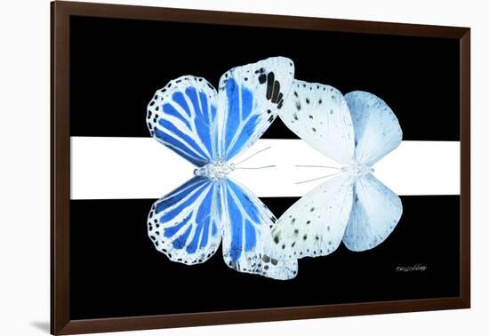 Miss Butterfly Duo Salateuploea - X-Ray B&W Edition II-Philippe Hugonnard-Framed Photographic Print