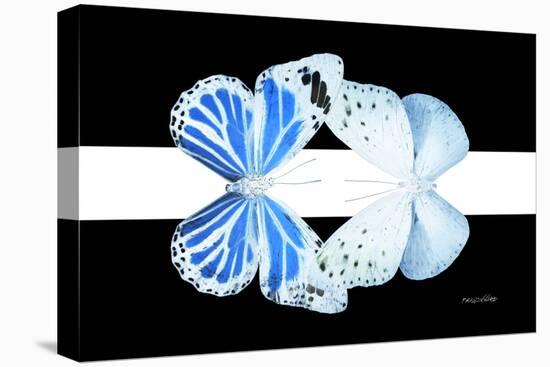 Miss Butterfly Duo Salateuploea - X-Ray B&W Edition II-Philippe Hugonnard-Stretched Canvas