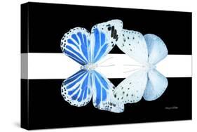 Miss Butterfly Duo Salateuploea - X-Ray B&W Edition II-Philippe Hugonnard-Stretched Canvas