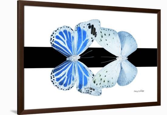 Miss Butterfly Duo Salateuploea - X-Ray B&W Edition-Philippe Hugonnard-Framed Photographic Print