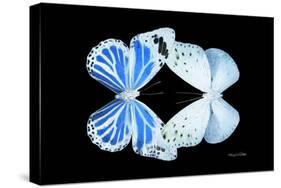 Miss Butterfly Duo Salateuploea - X-Ray Black Edition-Philippe Hugonnard-Stretched Canvas