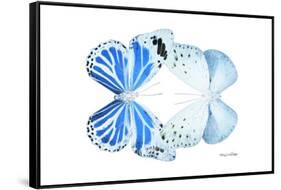 Miss Butterfly Duo Salateuploea - X-Ray White Edition-Philippe Hugonnard-Framed Stretched Canvas