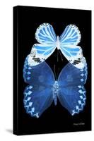 Miss Butterfly Duo Stichatura II - X-Ray Black Edition-Philippe Hugonnard-Stretched Canvas