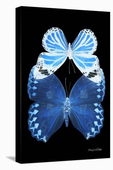 Miss Butterfly Duo Stichatura II - X-Ray Black Edition-Philippe Hugonnard-Stretched Canvas