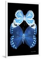 Miss Butterfly Duo Stichatura II - X-Ray Black Edition-Philippe Hugonnard-Framed Photographic Print