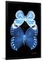 Miss Butterfly Duo Stichatura II - X-Ray Black Edition-Philippe Hugonnard-Framed Photographic Print