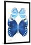 Miss Butterfly Duo Stichatura II - X-Ray White Edition-Philippe Hugonnard-Framed Photographic Print