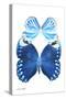 Miss Butterfly Duo Stichatura II - X-Ray White Edition-Philippe Hugonnard-Stretched Canvas