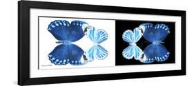 Miss Butterfly Duo Stichatura Pan - X-Ray B&W Edition-Philippe Hugonnard-Framed Photographic Print