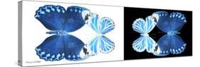 Miss Butterfly Duo Stichatura Pan - X-Ray B&W Edition-Philippe Hugonnard-Stretched Canvas