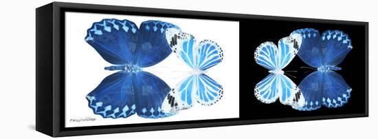 Miss Butterfly Duo Stichatura Pan - X-Ray B&W Edition-Philippe Hugonnard-Framed Stretched Canvas