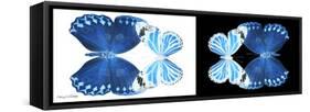 Miss Butterfly Duo Stichatura Pan - X-Ray B&W Edition-Philippe Hugonnard-Framed Stretched Canvas