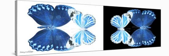 Miss Butterfly Duo Stichatura Pan - X-Ray B&W Edition-Philippe Hugonnard-Stretched Canvas