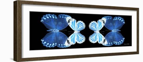 Miss Butterfly Duo Stichatura Pan - X-Ray Black Edition II-Philippe Hugonnard-Framed Photographic Print