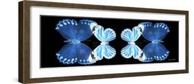 Miss Butterfly Duo Stichatura Pan - X-Ray Black Edition II-Philippe Hugonnard-Framed Photographic Print