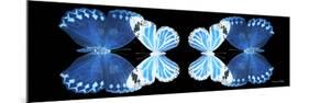 Miss Butterfly Duo Stichatura Pan - X-Ray Black Edition II-Philippe Hugonnard-Mounted Photographic Print