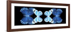 Miss Butterfly Duo Stichatura Pan - X-Ray Black Edition II-Philippe Hugonnard-Framed Photographic Print