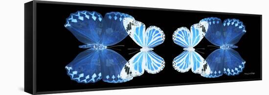 Miss Butterfly Duo Stichatura Pan - X-Ray Black Edition II-Philippe Hugonnard-Framed Stretched Canvas