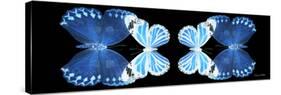 Miss Butterfly Duo Stichatura Pan - X-Ray Black Edition II-Philippe Hugonnard-Stretched Canvas