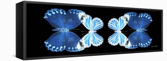 Miss Butterfly Duo Stichatura Pan - X-Ray Black Edition II-Philippe Hugonnard-Framed Stretched Canvas